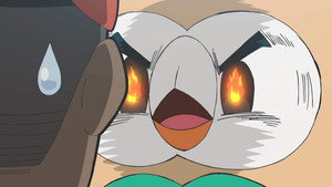 Pokémon 22. évad Ep.40 40. epizód