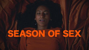 Season of sex kép