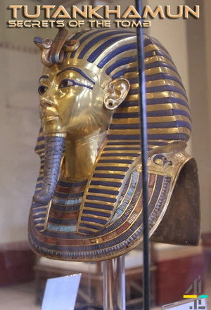 Tutankhamon: Titkok a sírból poszter