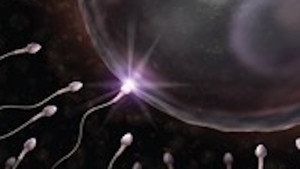 Viaggio nella scienza 1. évad Ep.20 20. epizód