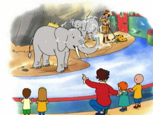 Caillou 1. évad Ep.47 47. epizód