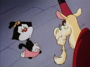 Animánia 1. évad Ep.20 A dili láma