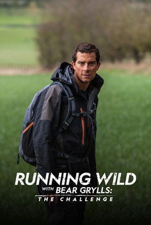 Bear Grylls - Sztárok a vadonban: A kihívás poszter
