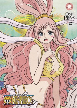 One Piece poszter