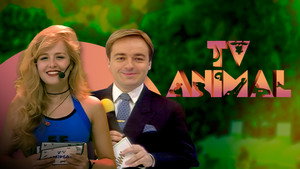TV Animal kép