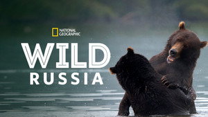 Wildes Russland kép