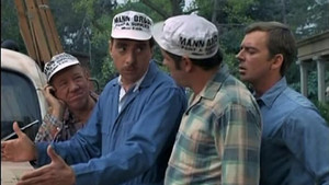 Mayberry R.F.D. 3. évad Ep.11 11. epizód