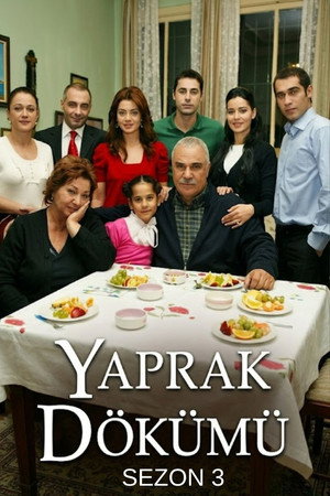 Yaprak Dökümü 3. évad () poszter