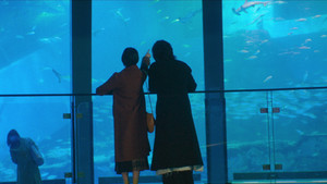 Nevertheless : The Shapes of Love 1. évad Ep.3 I Shouldn't Take A Step Forward, But Nevertheless