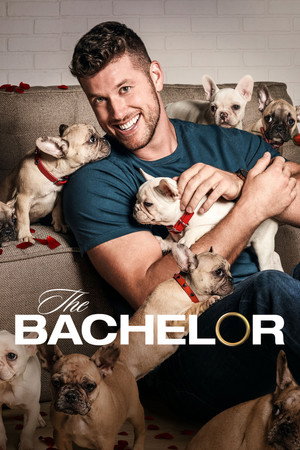 The Bachelor 26. évad (2022-01-03) poszter