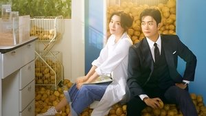 감자연구소 kép