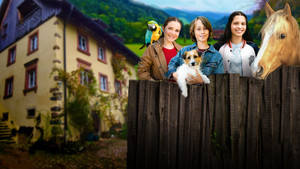 Tiere bis unters Dach kép