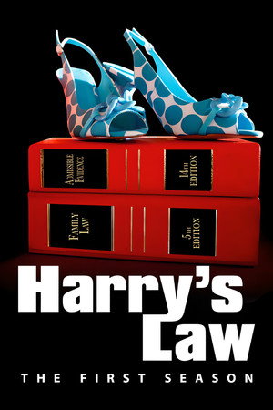 Harry's Law 1. évad (2011-01-17) poszter