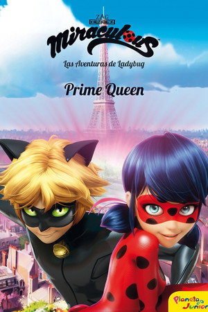 Miraculous Katicabogár és Fekete Macska kalandjai poszter