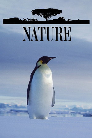Nature poszter