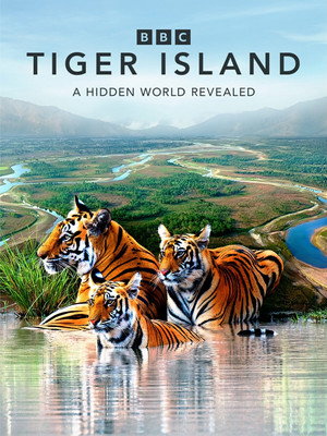 Tiger Island poszter