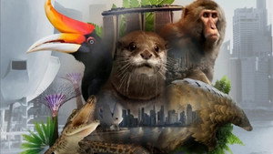 Wild City kép
