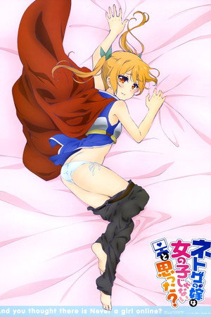ネトゲの嫁は女の子じゃないと思った？ poszter
