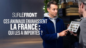Sur le front 6. évad Ep.2 2. epizód