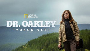 Dr. Oakley házhoz megy kép