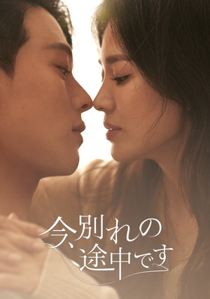 지금, 헤어지는 중입니다 poszter