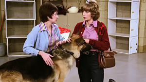 Laverne & Shirley 4. évad Ep.13 13. epizód