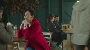 Brokenwood titkai 9. évad Ep.4 Bűnügyek az állatklinikán