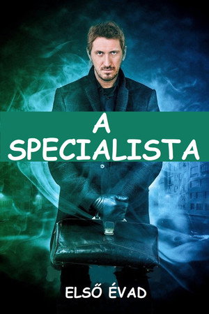 A specialista 1. évad (2013-11-11) poszter