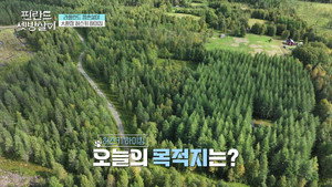 핀란드 셋방살이 1. évad Ep.6 6. epizód