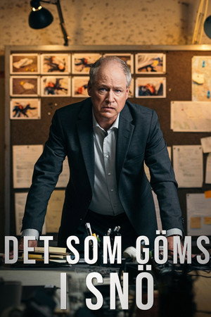 Det som göms i snö poszter