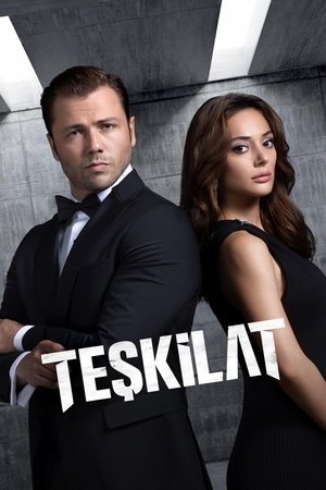 Teşkilat 6. évad (2025-09-21) poszter