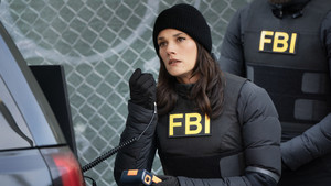 FBI: New York különleges ügynökei 7. évad Ep.12 12. epizód