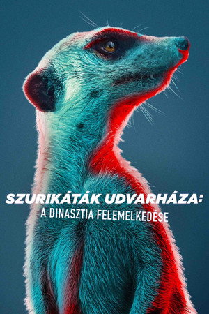 Szurikáták udvarháza poszter