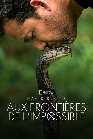 Ezt ne próbáld ki! - Halálos mutatványok David Blaine-nel poszter