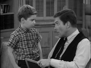 The Dick Van Dyke Show 1. évad Ep.20 20. epizód