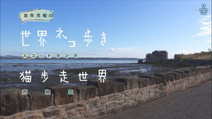 岩合光昭の世界ネコ歩き 1. évad Ep.23 23. epizód