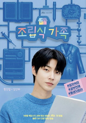 조립식 가족 poszter