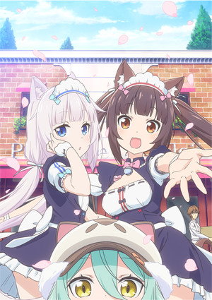 ネコぱら poszter