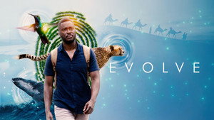 Fejlődés kép