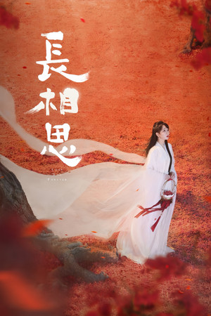 长相思 poszter