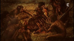 Planète Terre - À la découverte des mystères de l'évolution 1. évad Ep.6 6. epizód