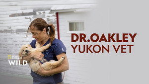 Dr. Oakley házhoz megy kép