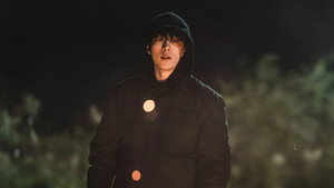 비질란테 kép