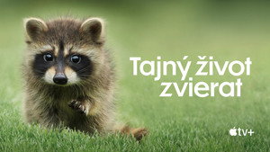 Az állatok titkos élete kép