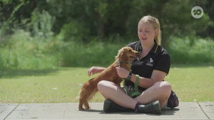 The Dog House Australia 5. évad Ep.3 3. epizód