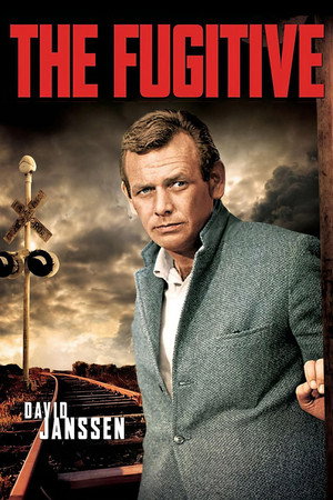 The Fugitive 3. évad (1965-09-14) poszter