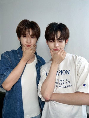 ด้วงกับเธอ poszter