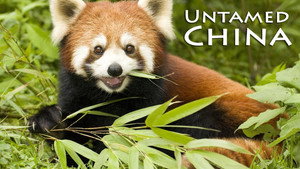 Untamed China kép