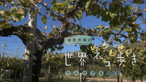 岩合光昭の世界ネコ歩き 1. évad Ep.19 19. epizód
