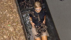 I'm a Celebrity...Get Me Out of Here! 3. évad Ep.6 6. epizód